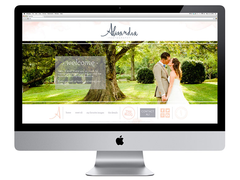 Alisandra-Photo-Website-by-315-Design